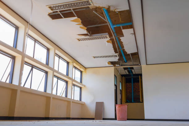 Best Water damage restoration near me  in Southworth, WA