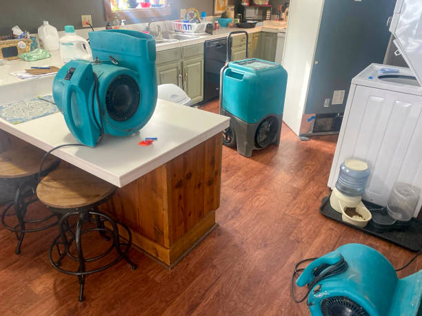 Best Ceiling water damage repair  in Southworth, WA
