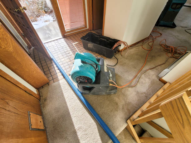 Best Sewage cleanup and water damage restoration  in Southworth, WA