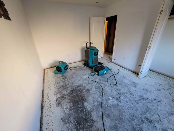 Best Residential water damage restoration  in Southworth, WA