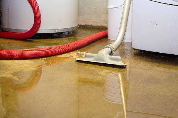 Best Flood damage cleanup  in Southworth, WA