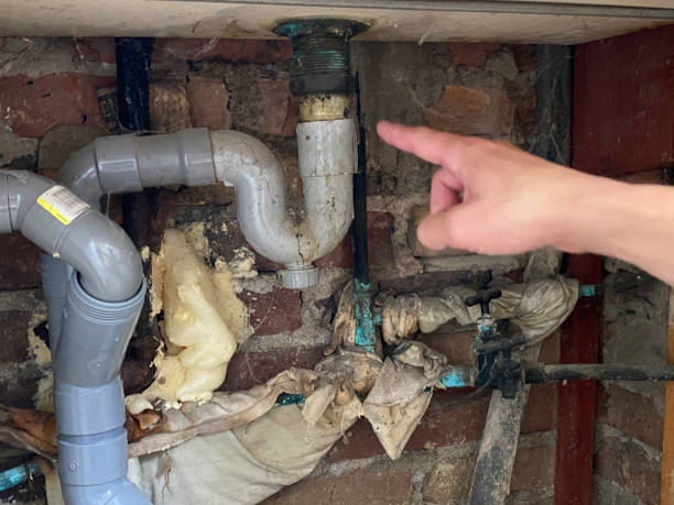 Best Professional water damage repair  in Southworth, WA