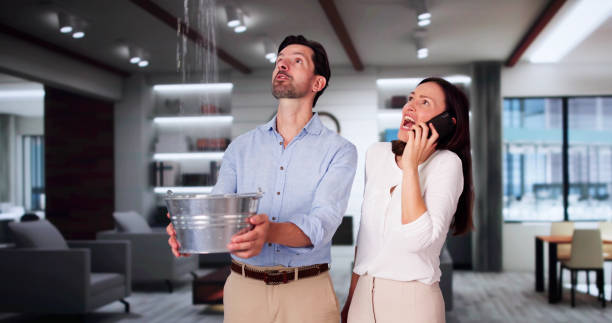Best Water damage restoration services  in Southworth, WA